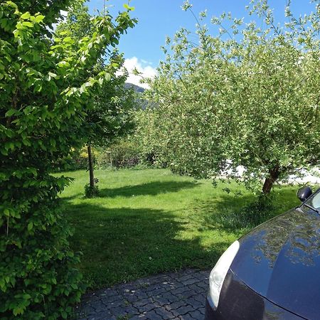 Flores, Ferienhaus Oder Doppelzimmer, Im Gruenen, 5 Gehminuten Ins Zentrum, Parkplatz, Zero Emissions Bad Ischl Buitenkant foto