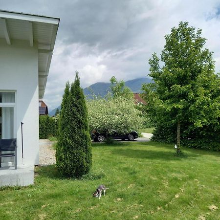 Flores, Ferienhaus Oder Doppelzimmer, Im Gruenen, 5 Gehminuten Ins Zentrum, Parkplatz, Zero Emissions Bad Ischl Buitenkant foto