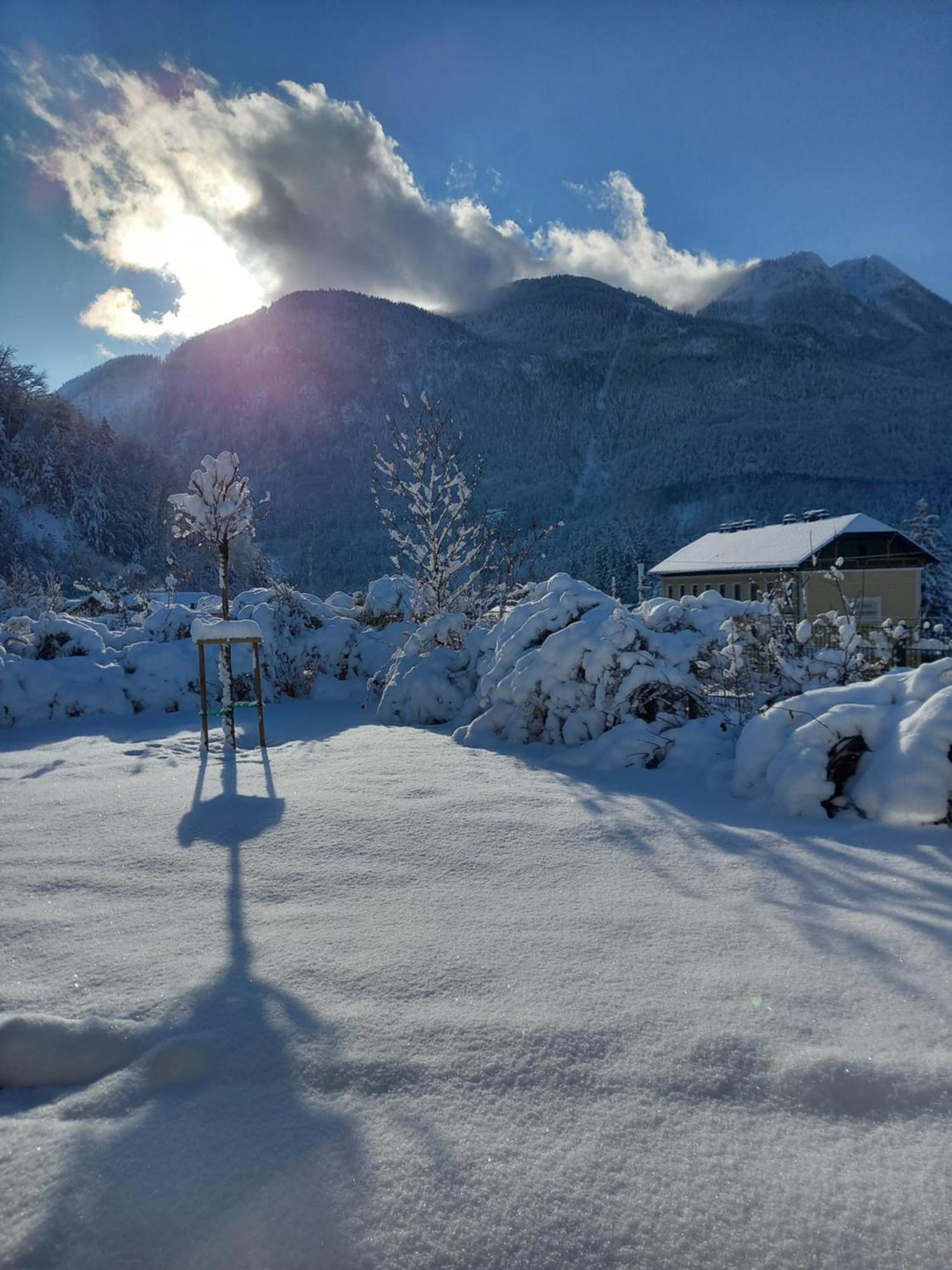 Flores, Ferienhaus Oder Doppelzimmer, Im Gruenen, 5 Gehminuten Ins Zentrum, Parkplatz, Zero Emissions Bad Ischl Buitenkant foto