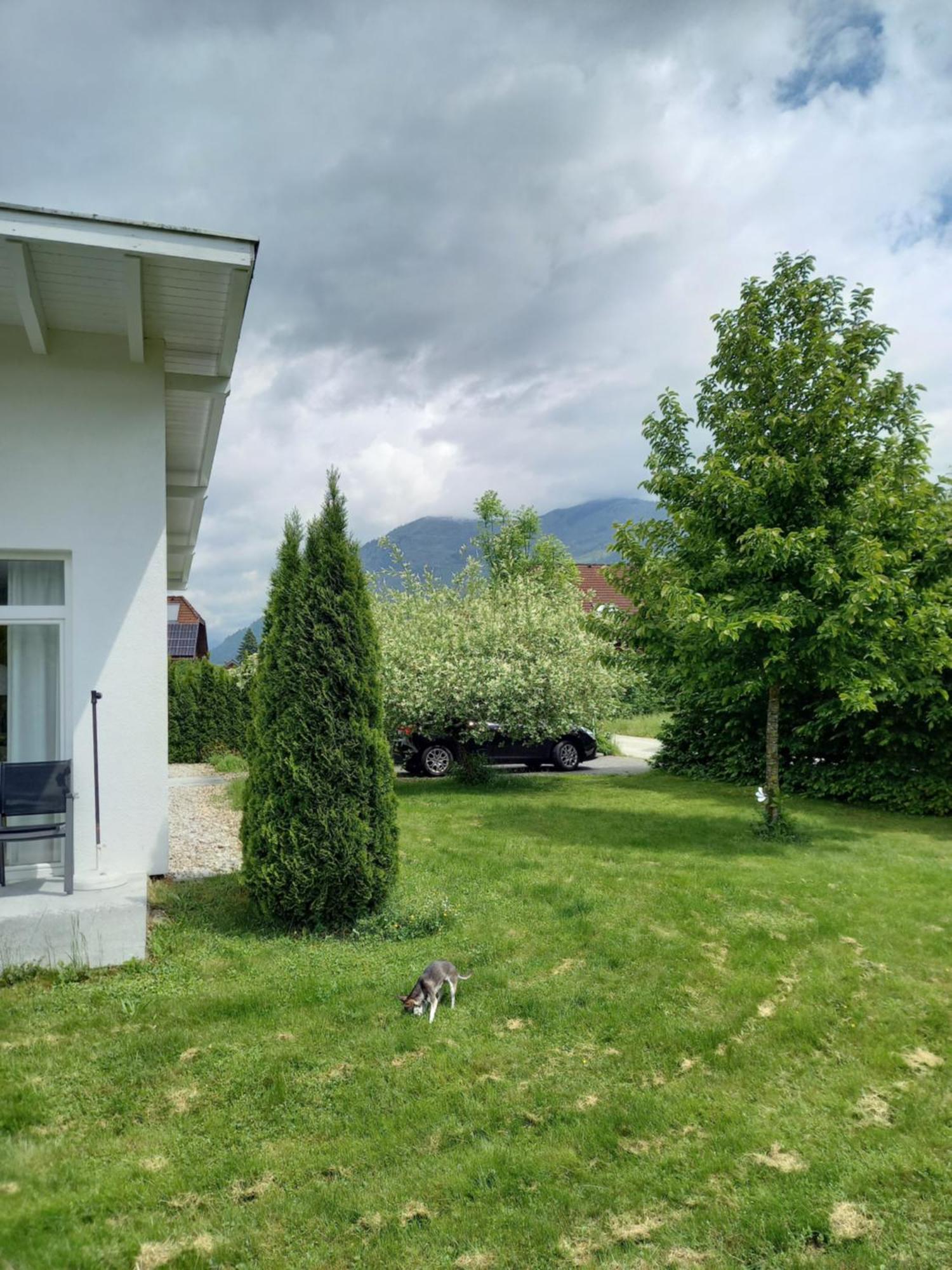 Flores, Ferienhaus Oder Doppelzimmer, Im Gruenen, 5 Gehminuten Ins Zentrum, Parkplatz, Zero Emissions Bad Ischl Buitenkant foto
