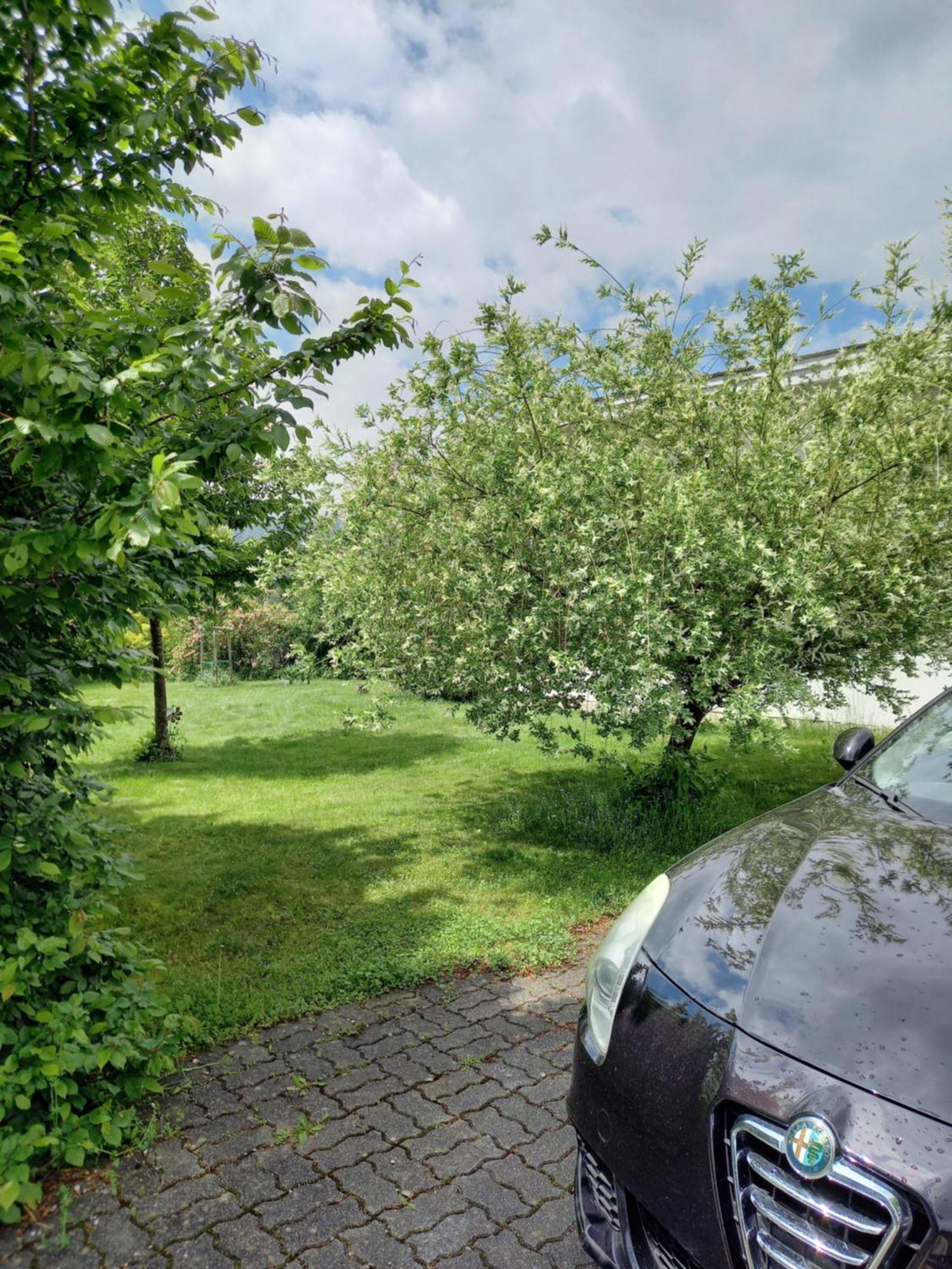 Flores, Ferienhaus Oder Doppelzimmer, Im Gruenen, 5 Gehminuten Ins Zentrum, Parkplatz, Zero Emissions Bad Ischl Buitenkant foto